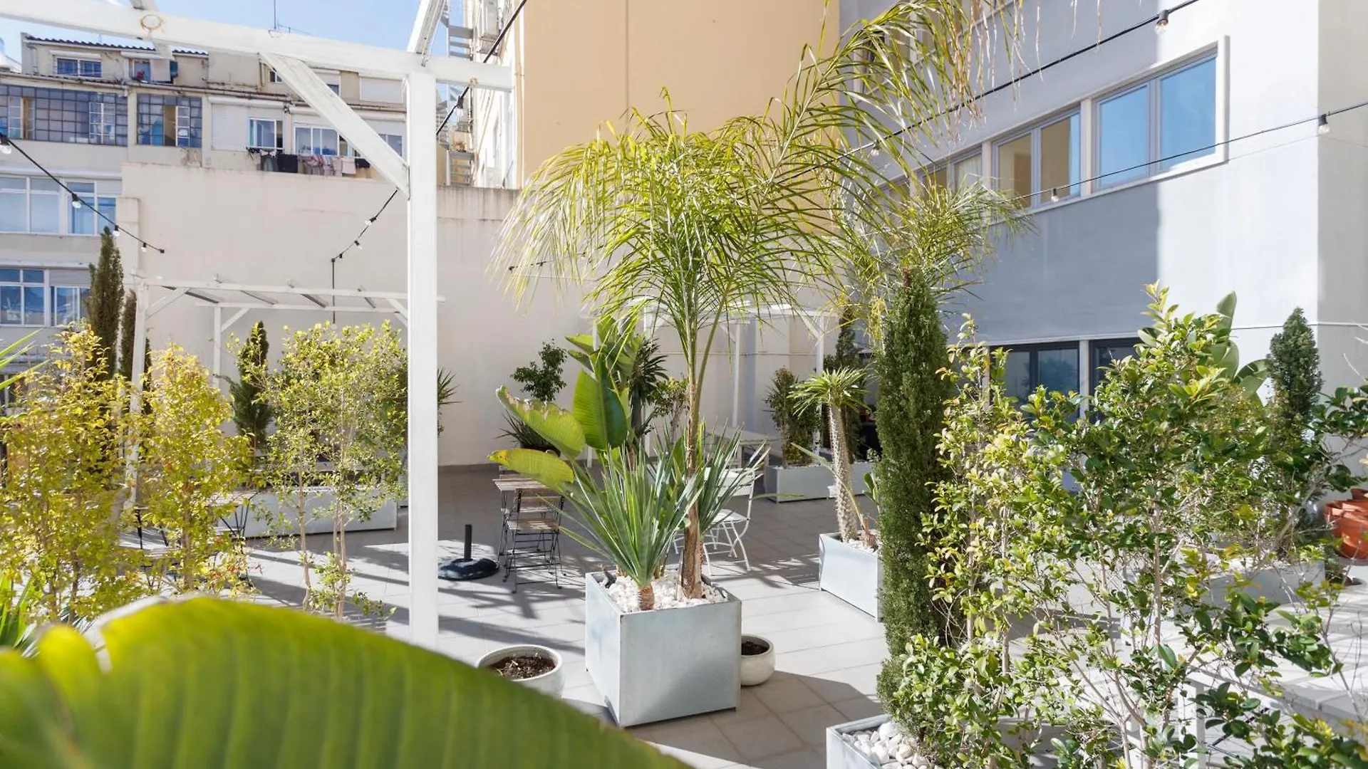 Champagne Vibes In Lisbon - By Misha'S Place 5C Португалия