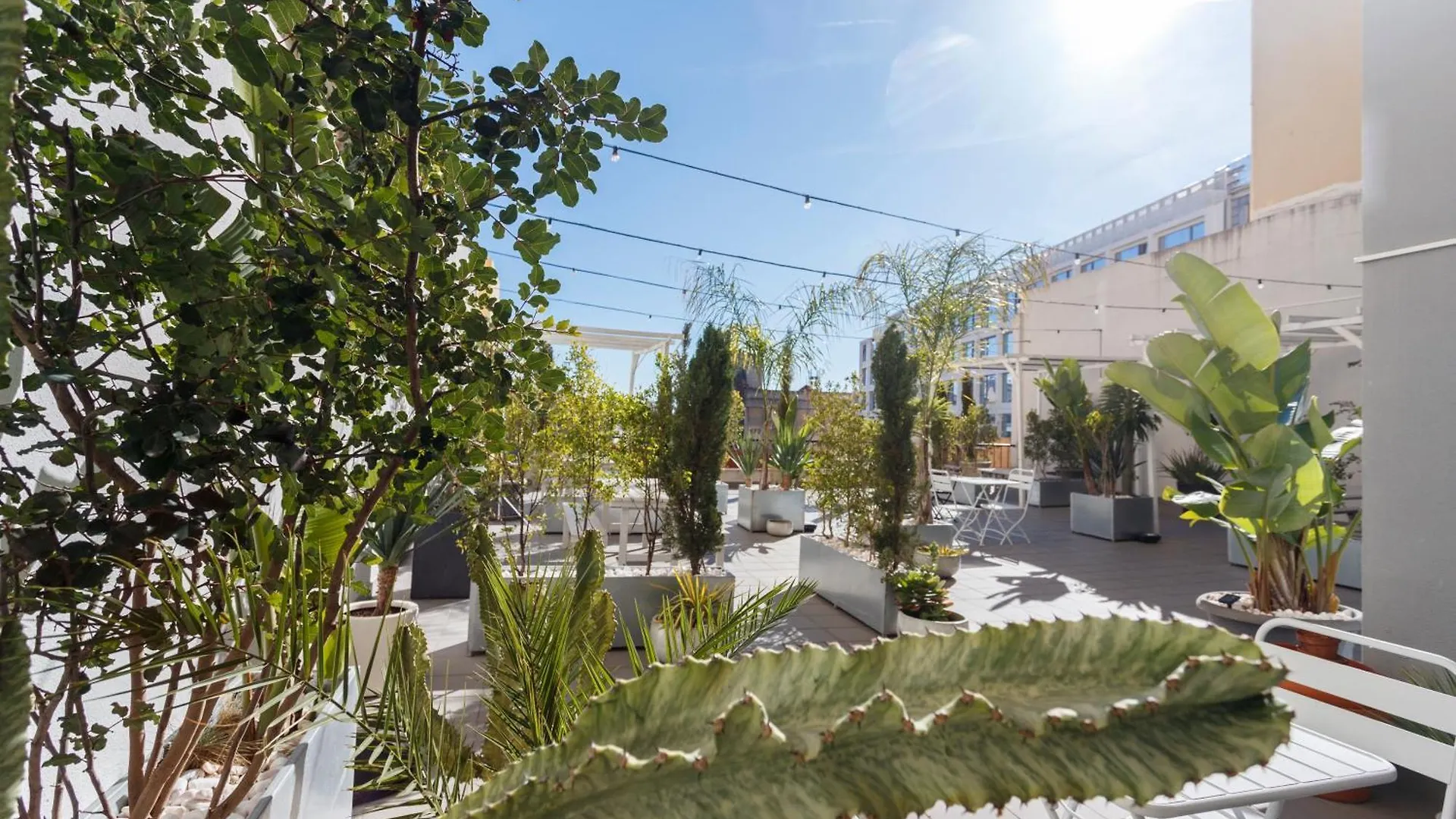Champagne Vibes In Lisbon - By Misha'S Place 5C 0*,  Португалия
